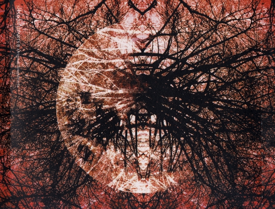 SHADOW HEARTS II Original Soundtracks (2004) MP3 - Download